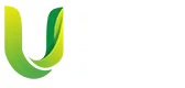 U88 — Online Casino Malaysia